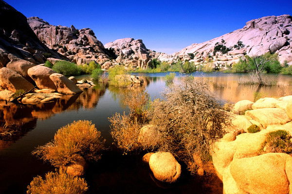 Игорь Лазебник