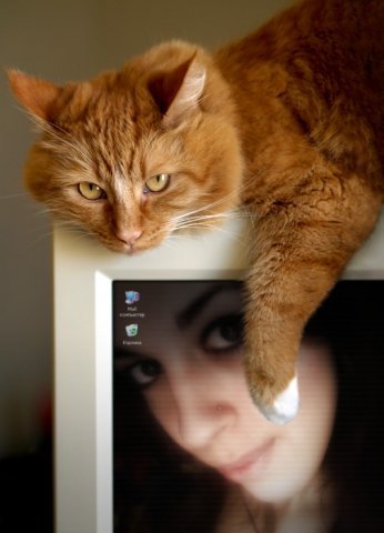 Екатерина Коломиец