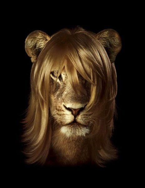 Веста Супрун