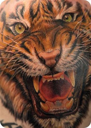 Владимир Зорин