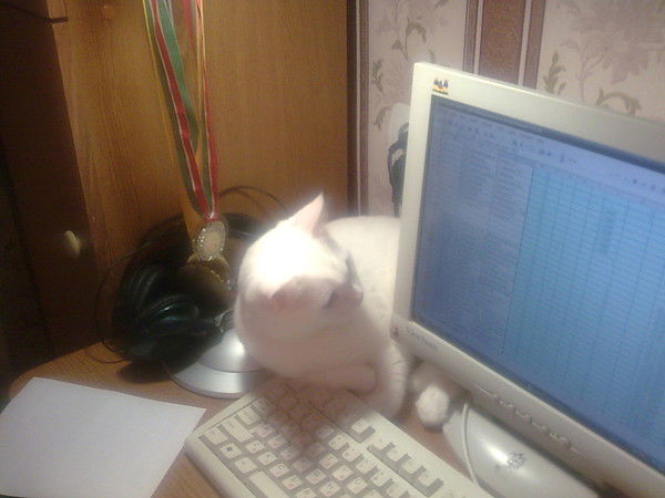 Гульнара Садыкова