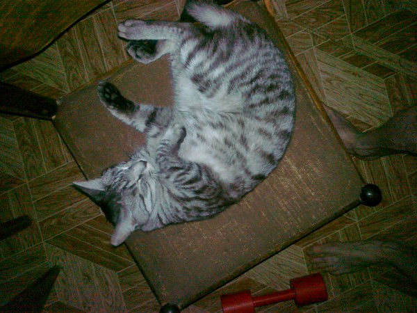 Ралиф Ахметзянов