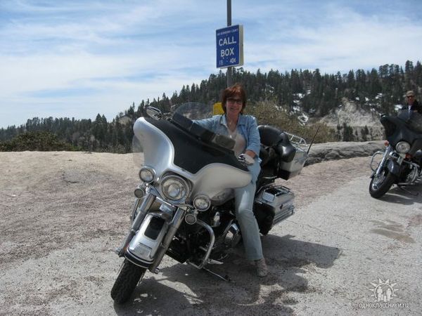 Елена Филиппова