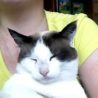 Кот-Вася Терешенков