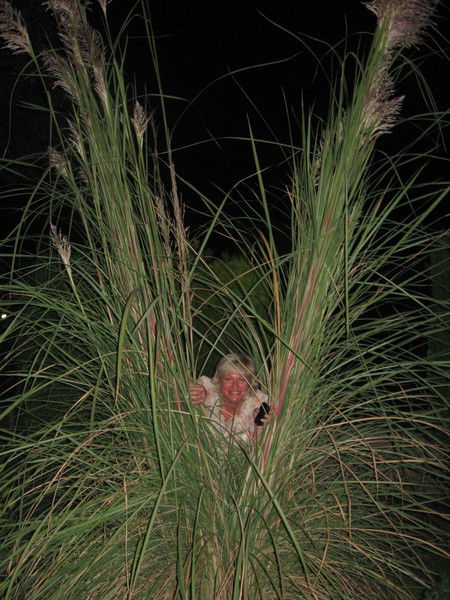 Оксана Сергеева (Литвиненко )