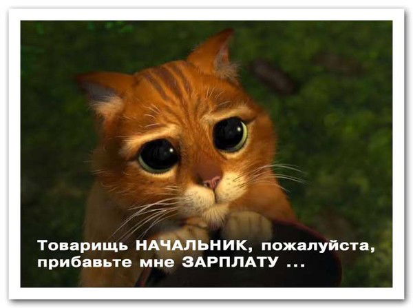 Михаил Литвин