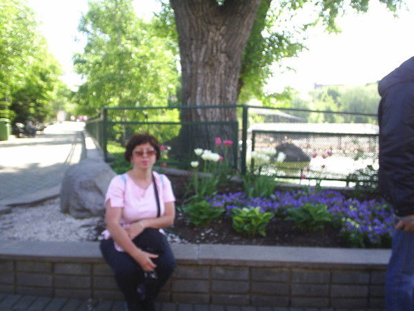 Екатерина Безруких