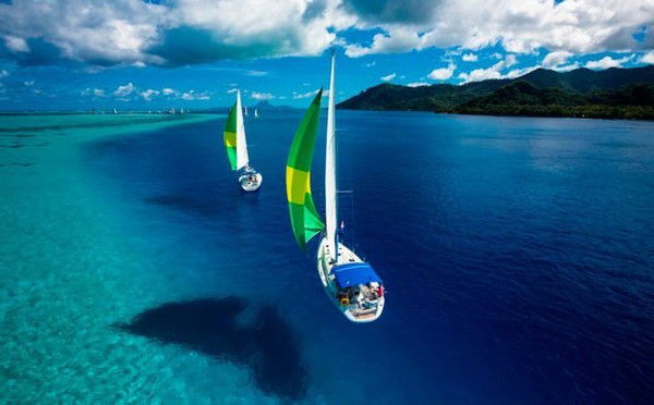 Алексей Гончаров