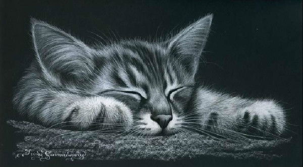 Елена Кротова