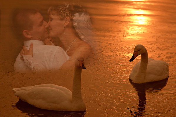 Аня Романюк