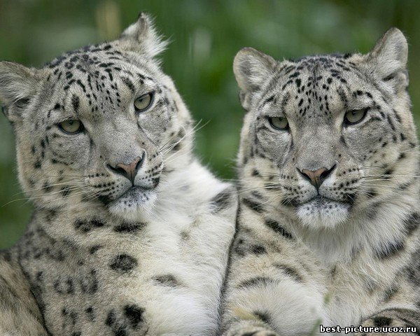 Валентина ***