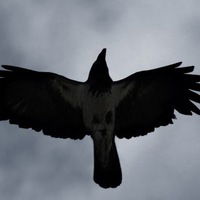 Геннадий Кассихин