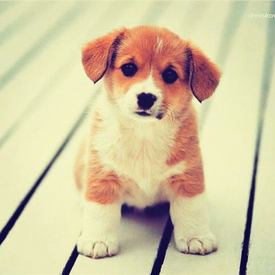 Кристина Зимина