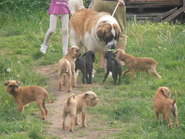 Нина Мельчина