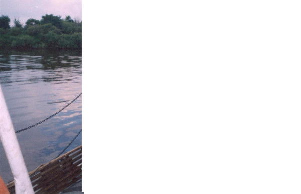 Магомед Кураки