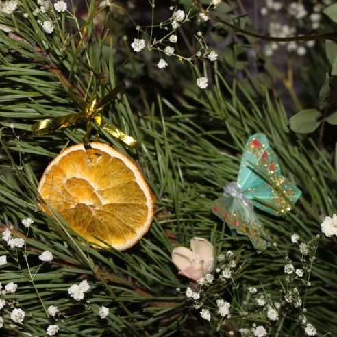 Лиза Красина