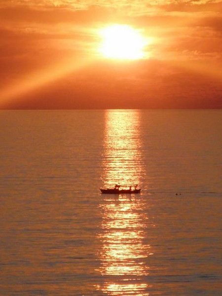 Дарья Тардыбаева