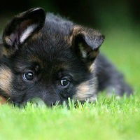 Иван Иванов