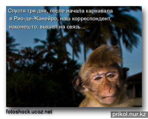 Ержан Шабанов