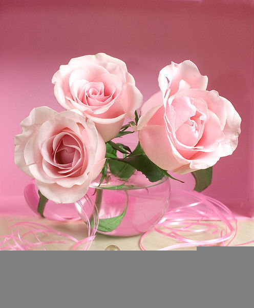 Акмарал Нурмаханбетова