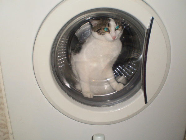 Игорь Алферов