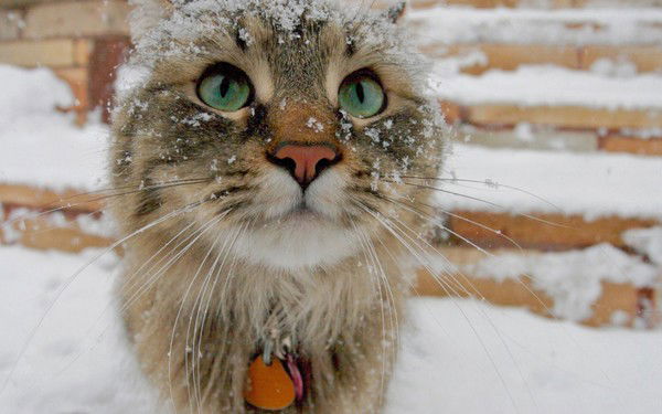 Денис Такташкин