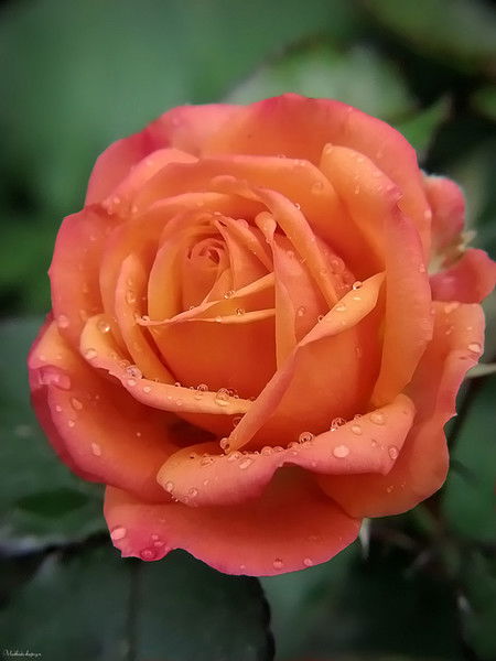 Меруерт Есалиева