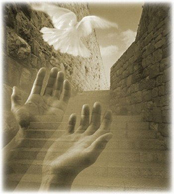 Эльза Зайнагабдинова