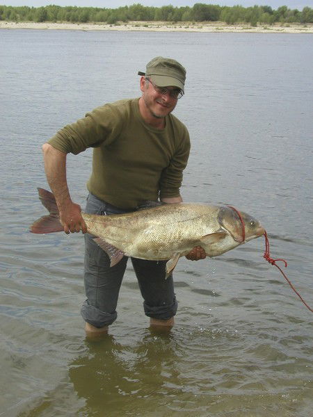 Владимир Кисляков