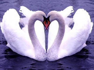 Галина Гавриленко