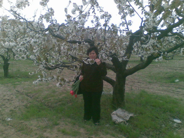 Альбина Сродникова