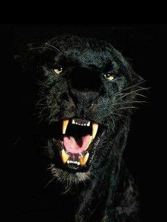 Анюта Миловидная