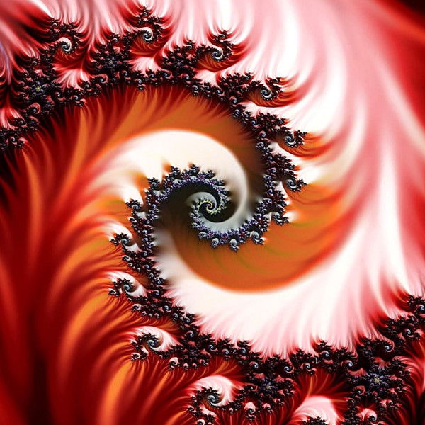 Анжелика Тиунова