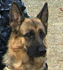 Питомник Наямале