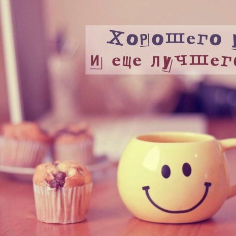 Дарья Павлова