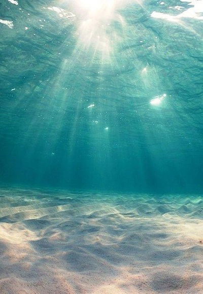 Юлия Лысенко