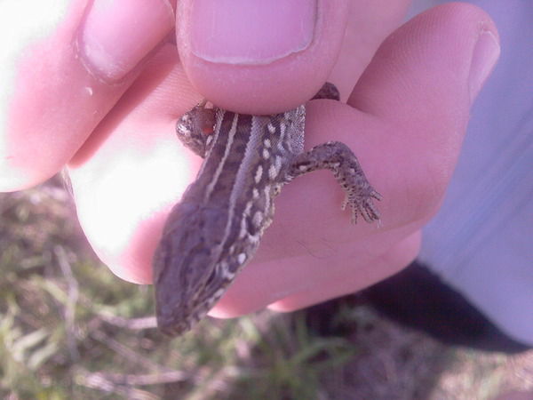 Алёна Хуснутдинова