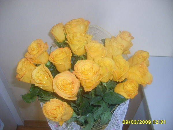 Олеся Агеева