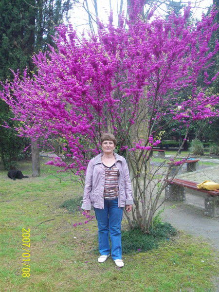 Ольга Залицаева