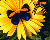 Мария Малюга