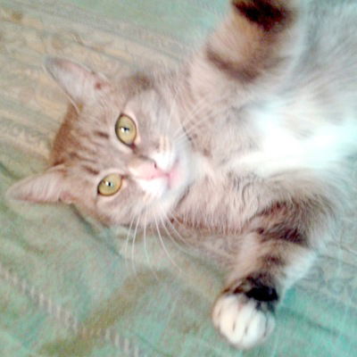 Настя Овчинникова