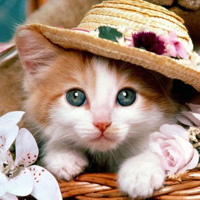 Василя Мифтахова