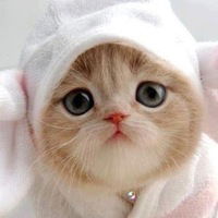 Алёна Мурзадерова