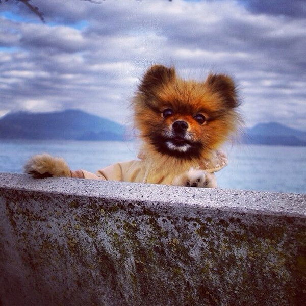 Андрей Иванов