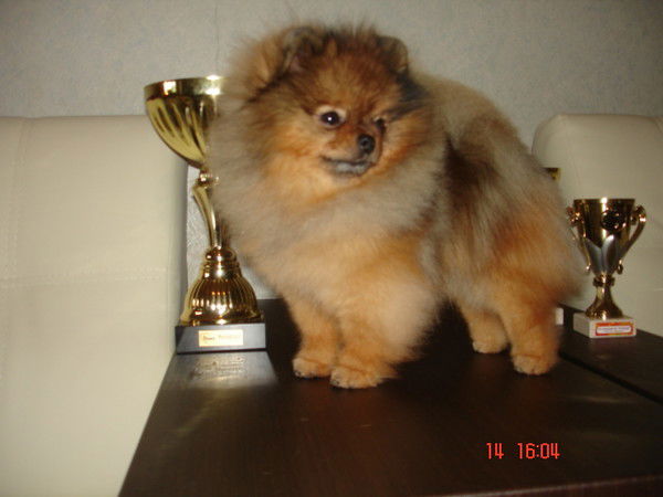 Наталья Локтева