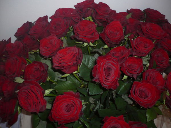 Екатерина ***