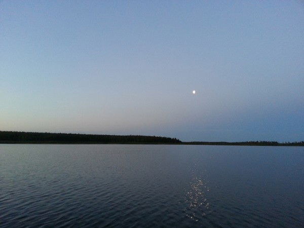 Владислав Авдеев