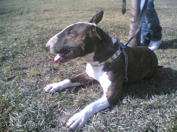 Маруся Калманович