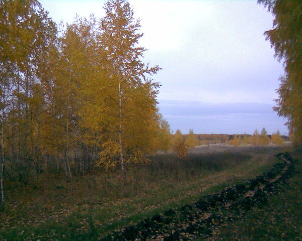 Валентина Тихонова