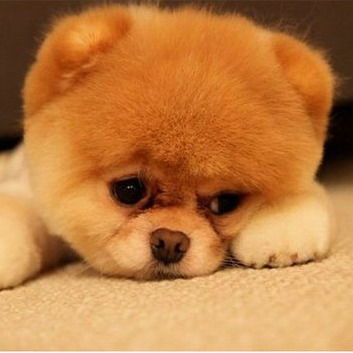 Ут-14 50 Лет Ссср Д.2 А